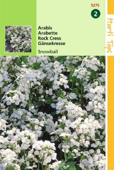 Randjesbloem Snowball (Arabis caucasica) 1000 zaden
